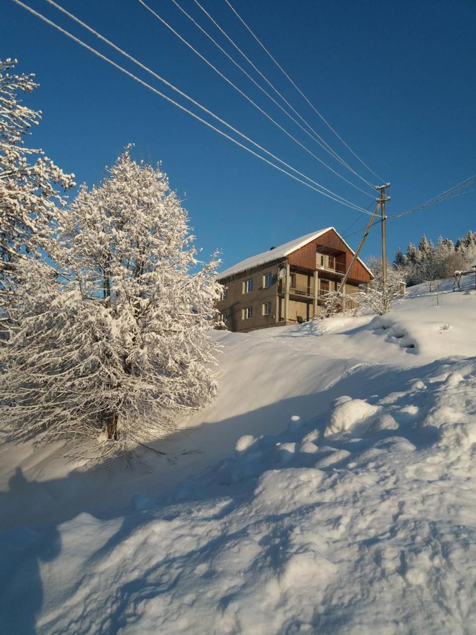 Hotel Na Gorbochku à Podobovets Extérieur photo